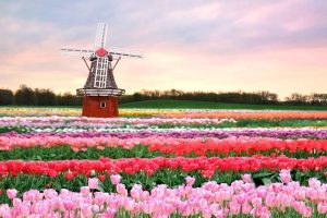 benelux-olanda-2