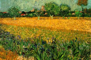 FRANCIA van gogh