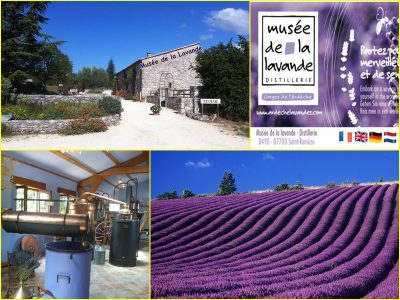 Provenza museo lavanda st remeze